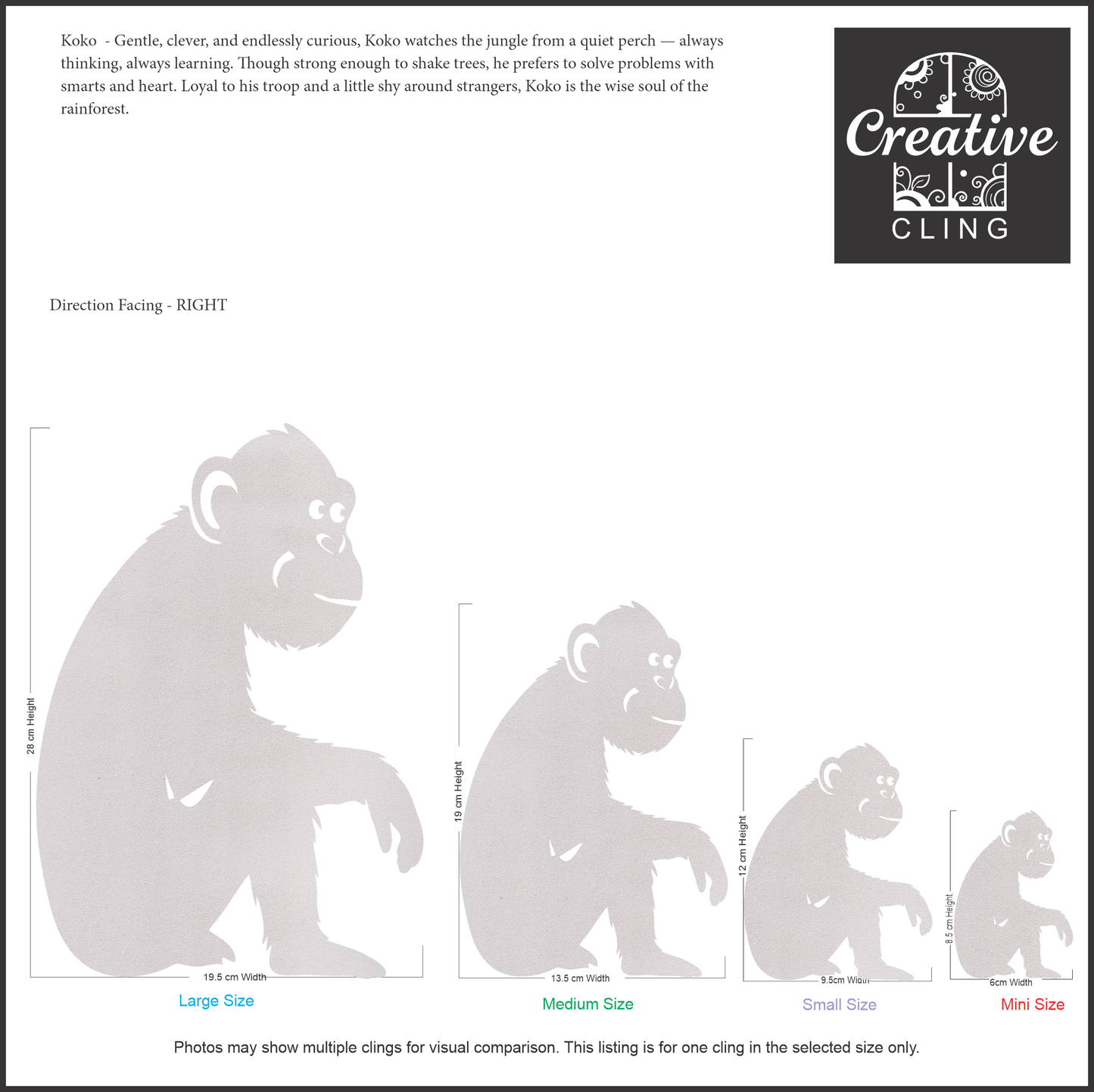 Wildlife Wonders - Rainforest Dwellers - Frosted Window Clings