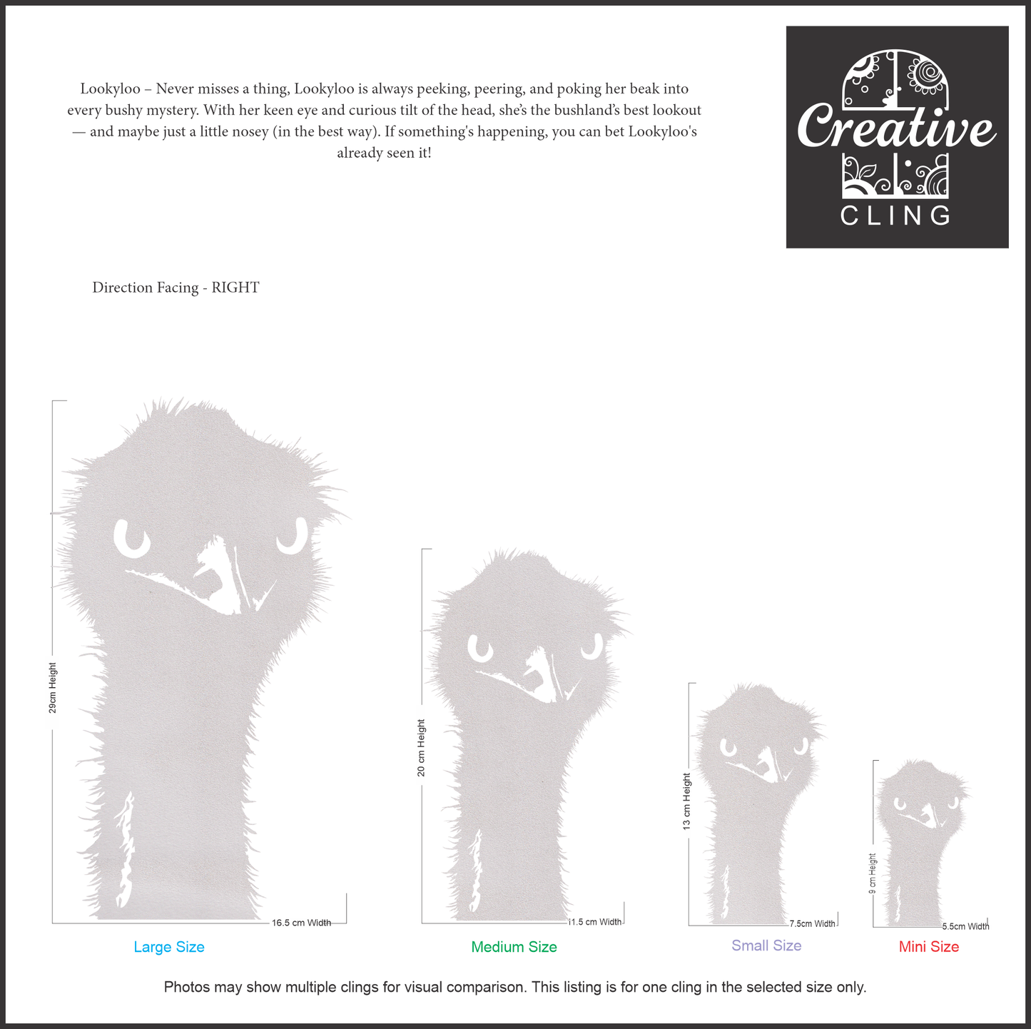 Wildlife Wonders – Australian Animals Collection - Wild & Wiggly – Bold, Playful, and a Bit Cheeky