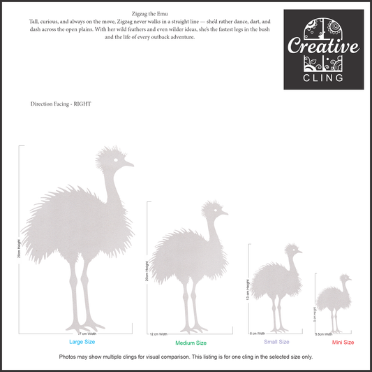 Wildlife Wonders – Australian Animals Collection - Wild & Wiggly – Bold, Playful, and a Bit Cheeky